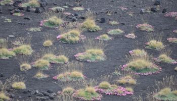 etna escursioni 0.75918579101562