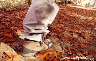 trekking shoes rental   noleggiare scarpe da trekking.png