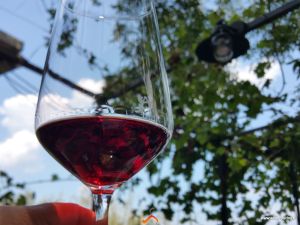 taste a glass of etna wine.png