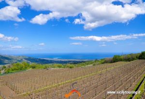 the winery on etna.png
