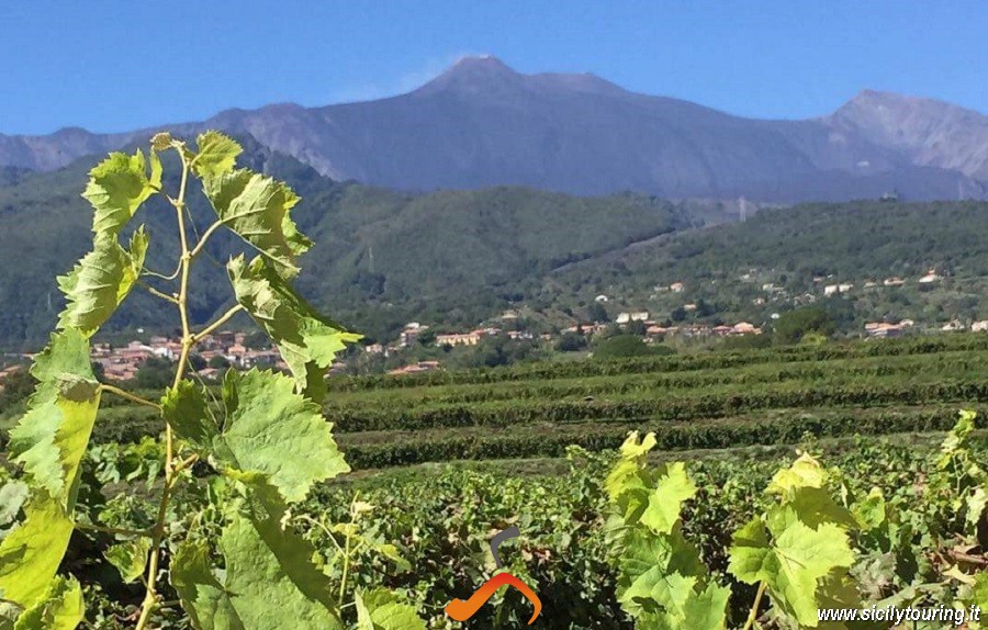 EVERY DAY &ndash; WINE TASTING &amp; BRUNCH INCLUDED